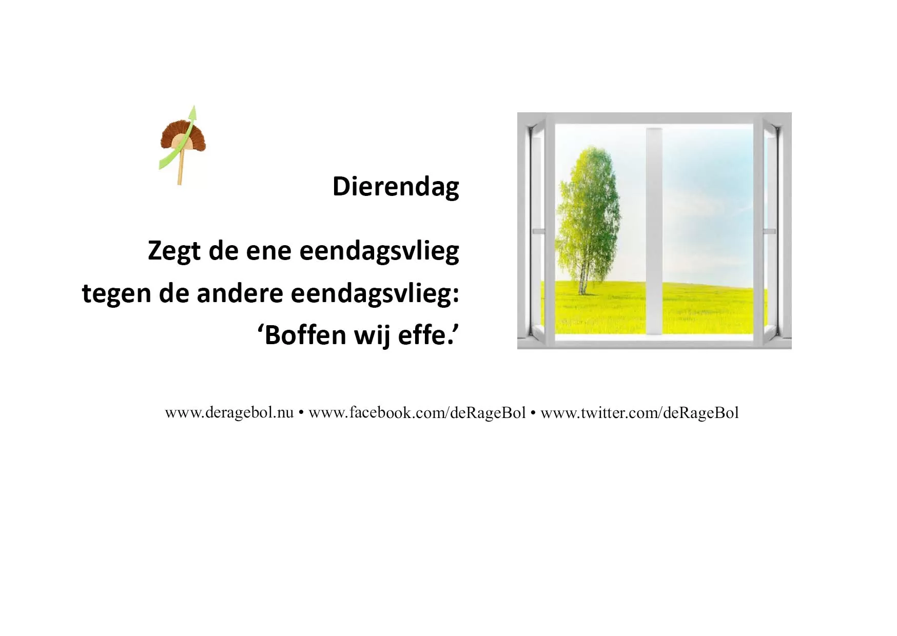 Ragebol Poster  4 oktober 2024