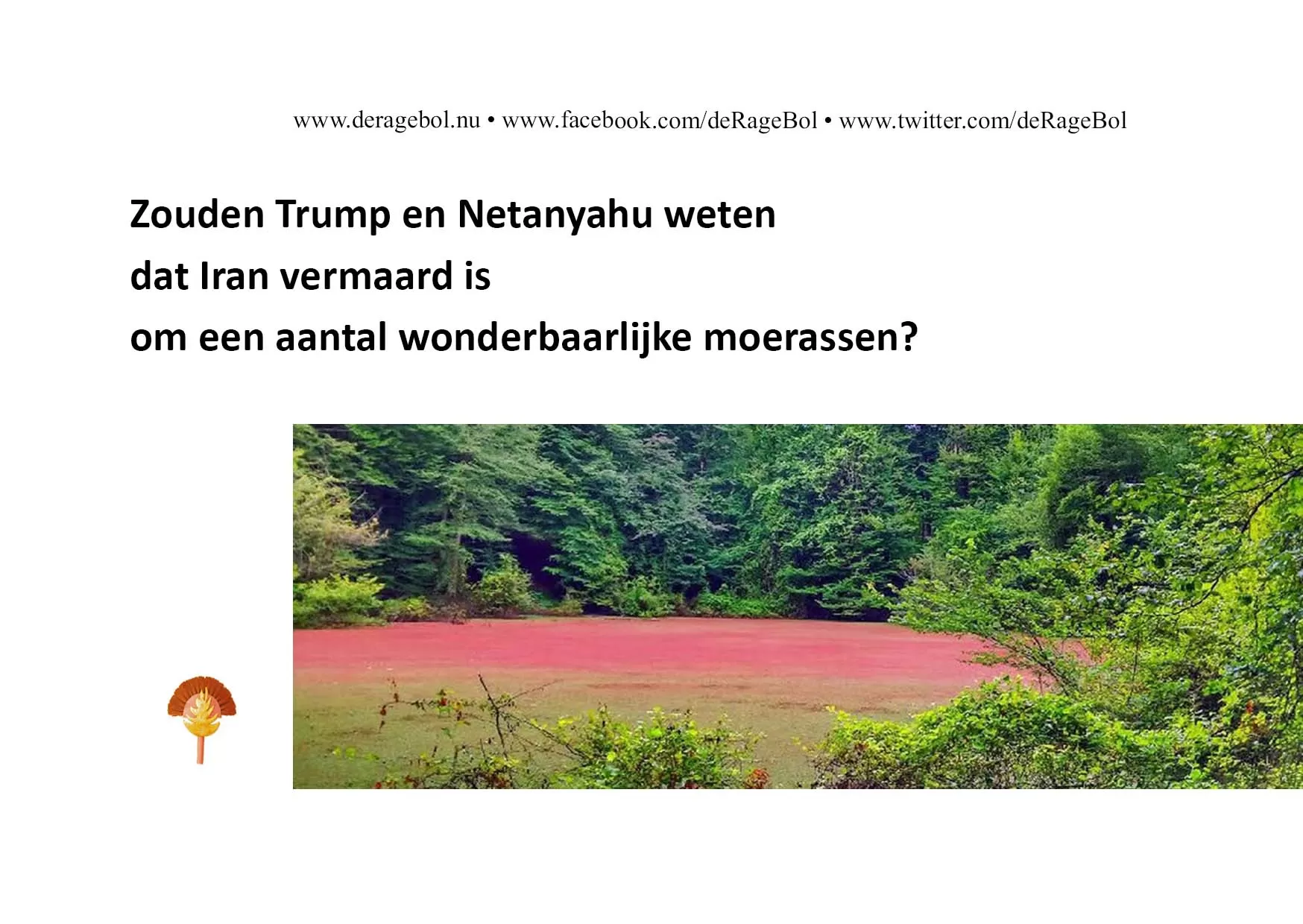 Ragebol Poster 10 maart 2026