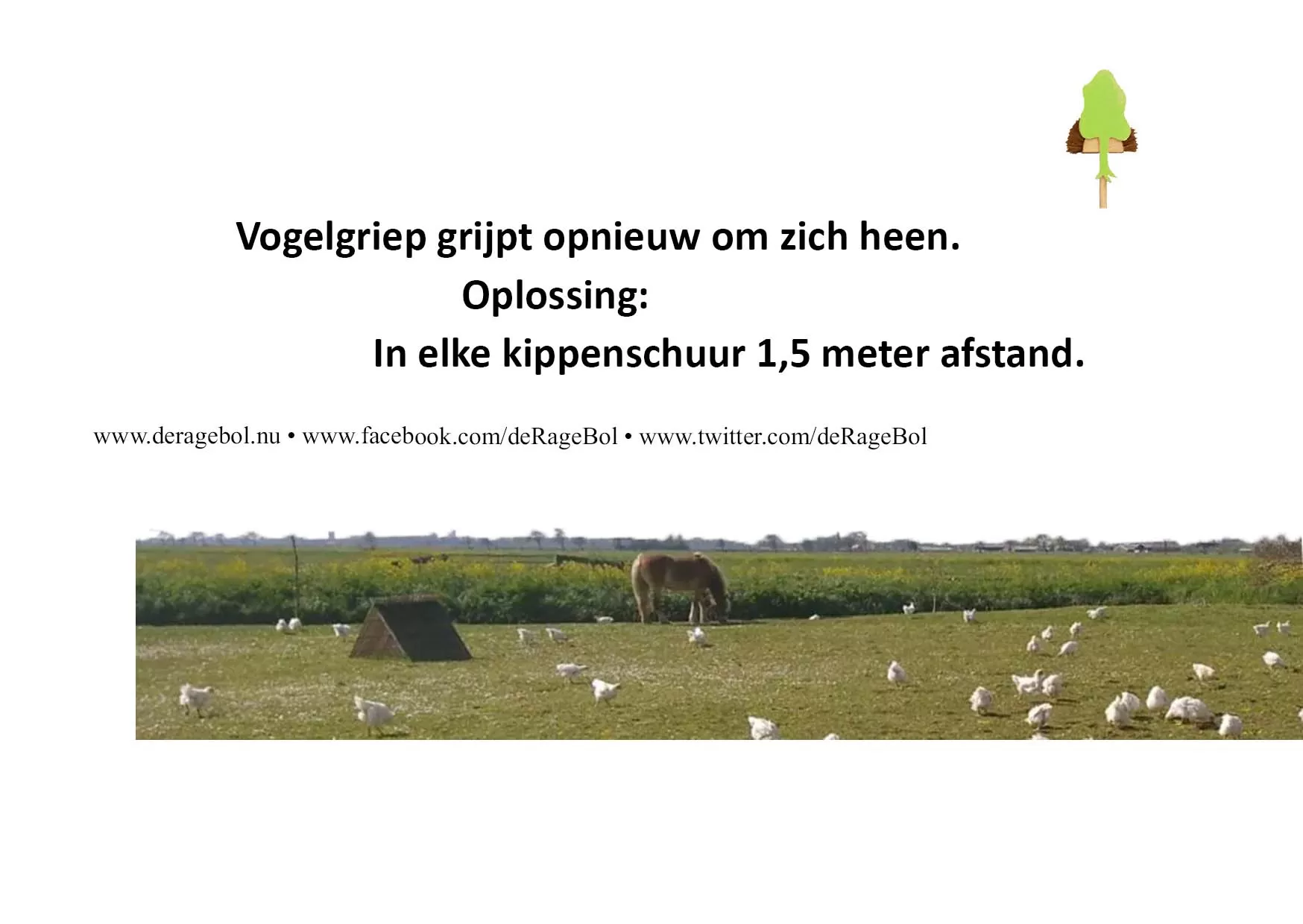 Ragebol Poster 21 november 2025