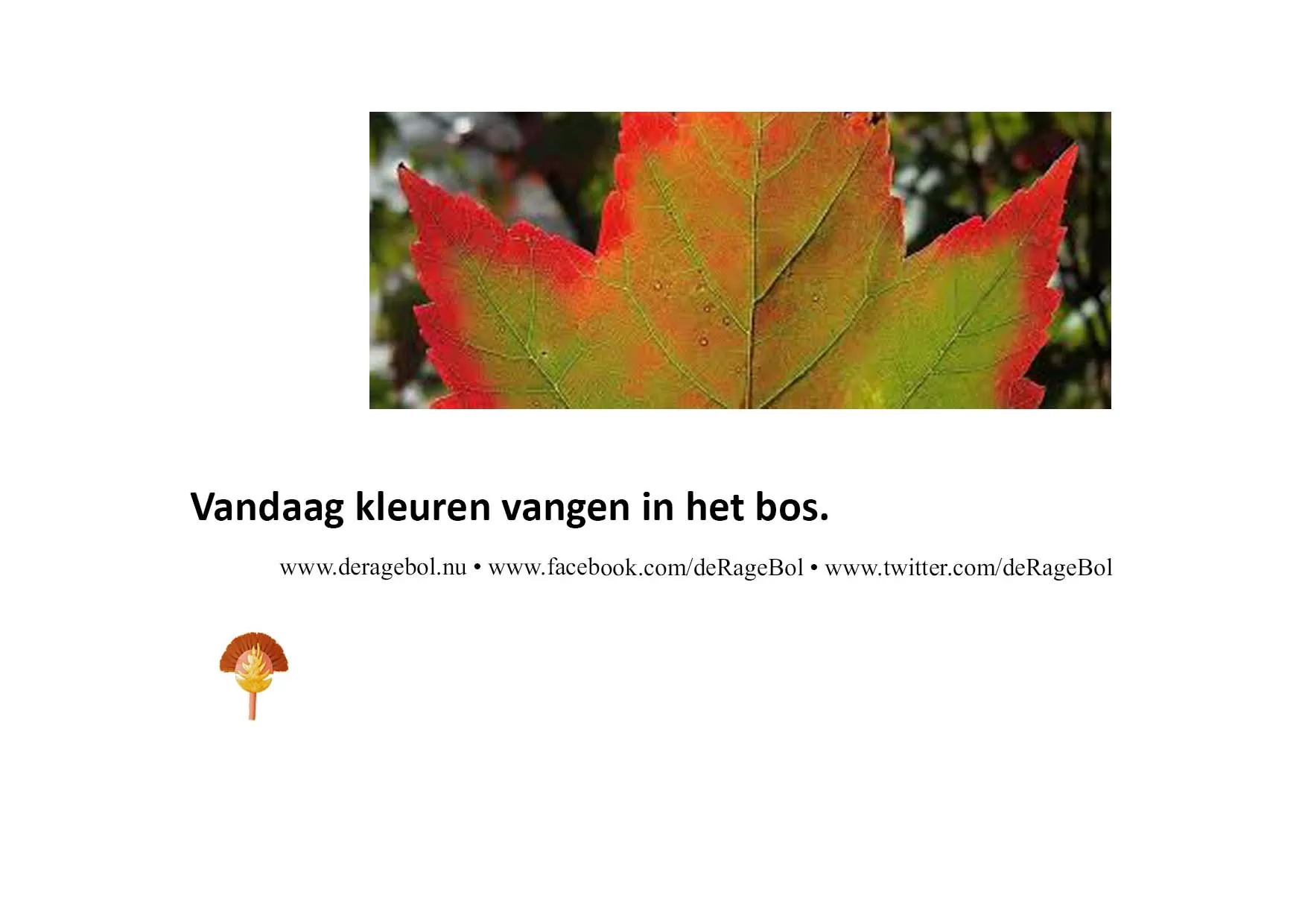 Ragebol Poster  8 november 2025