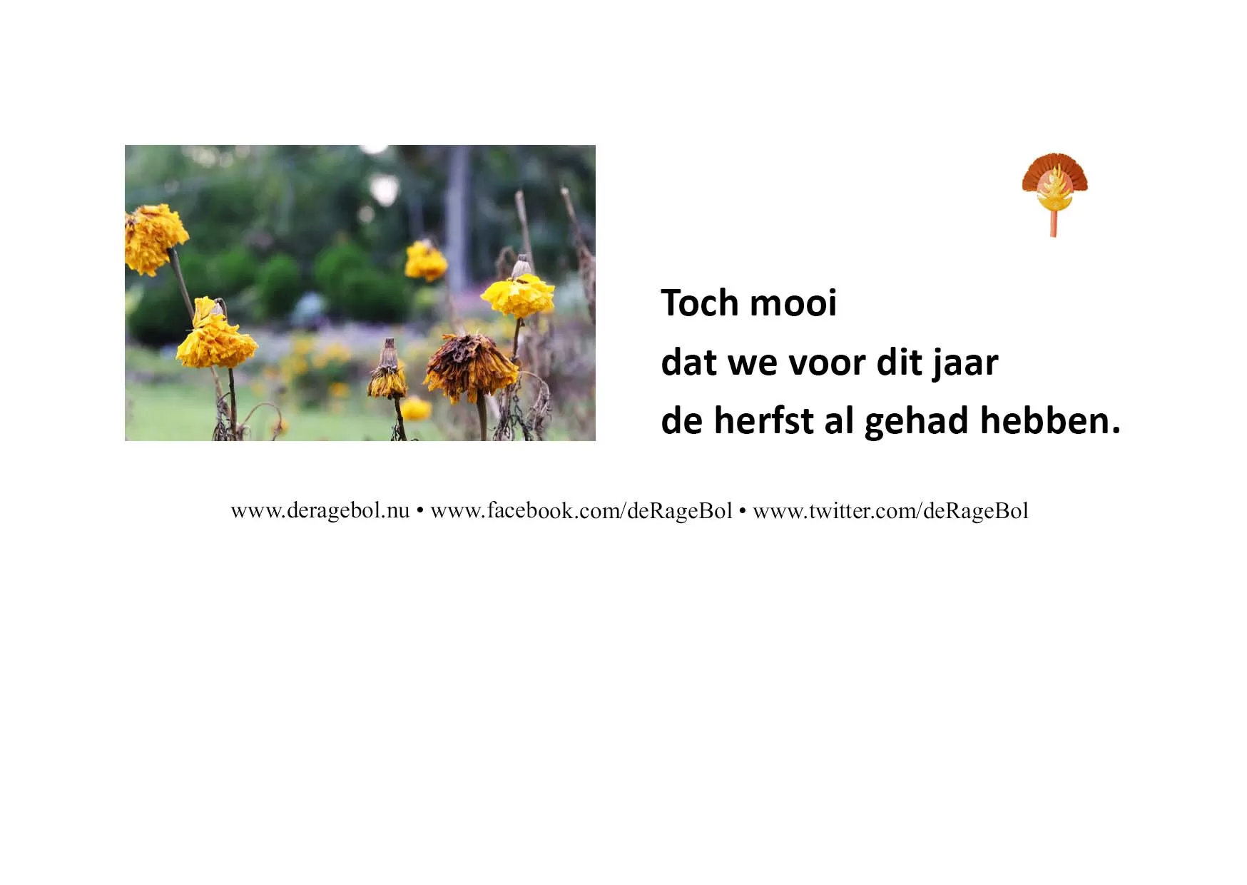 Ragebol Poster 31 mei 2024