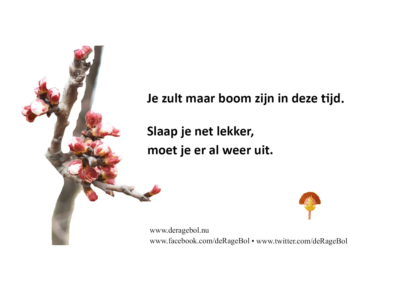 Ragebol Poster 26 februari 2019