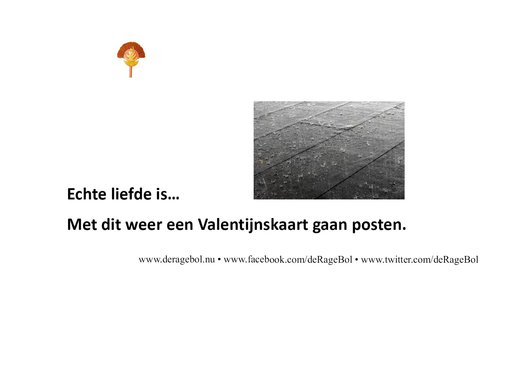Ragebol Poster 13 februari 2020