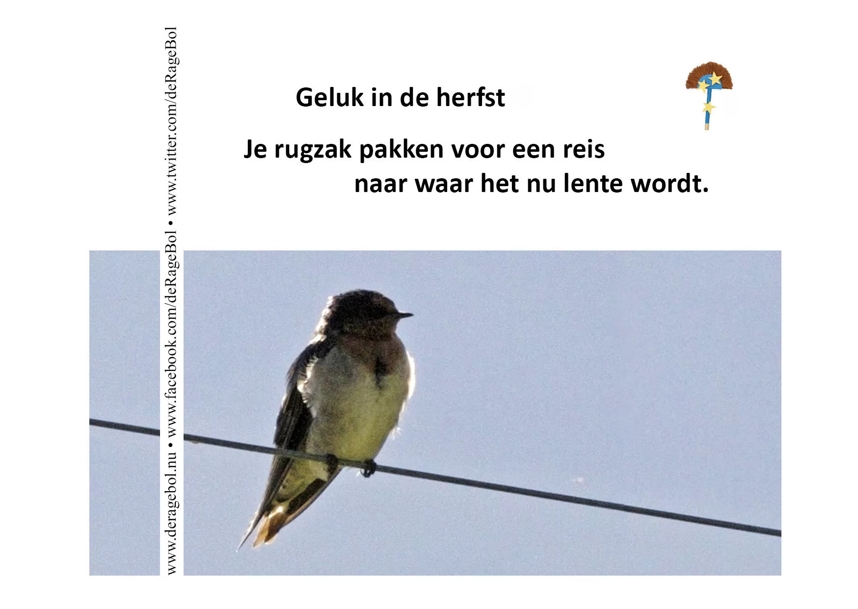 Ragebol Poster 17 oktober 2015