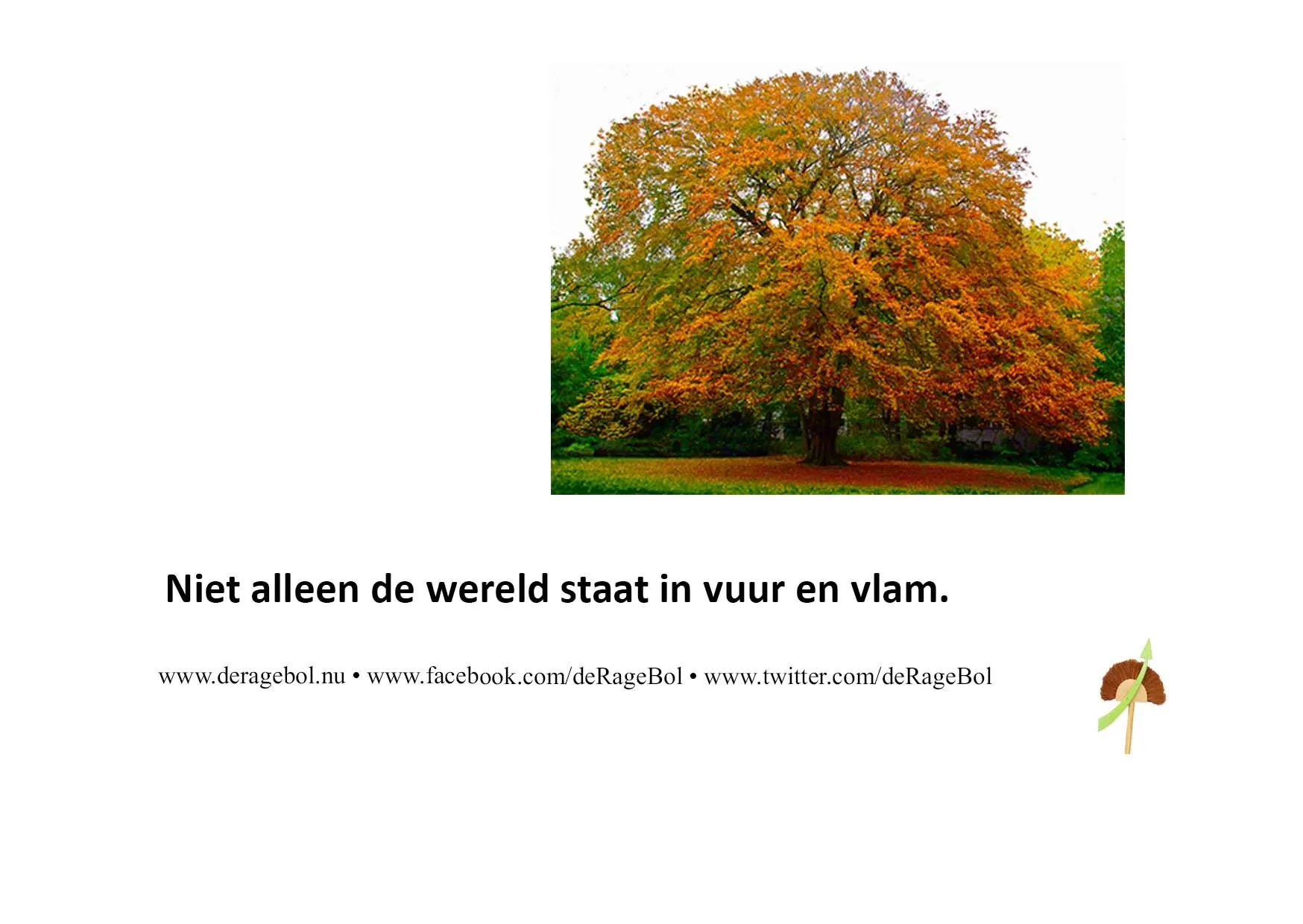 Ragebol Poster 21 oktober 2022