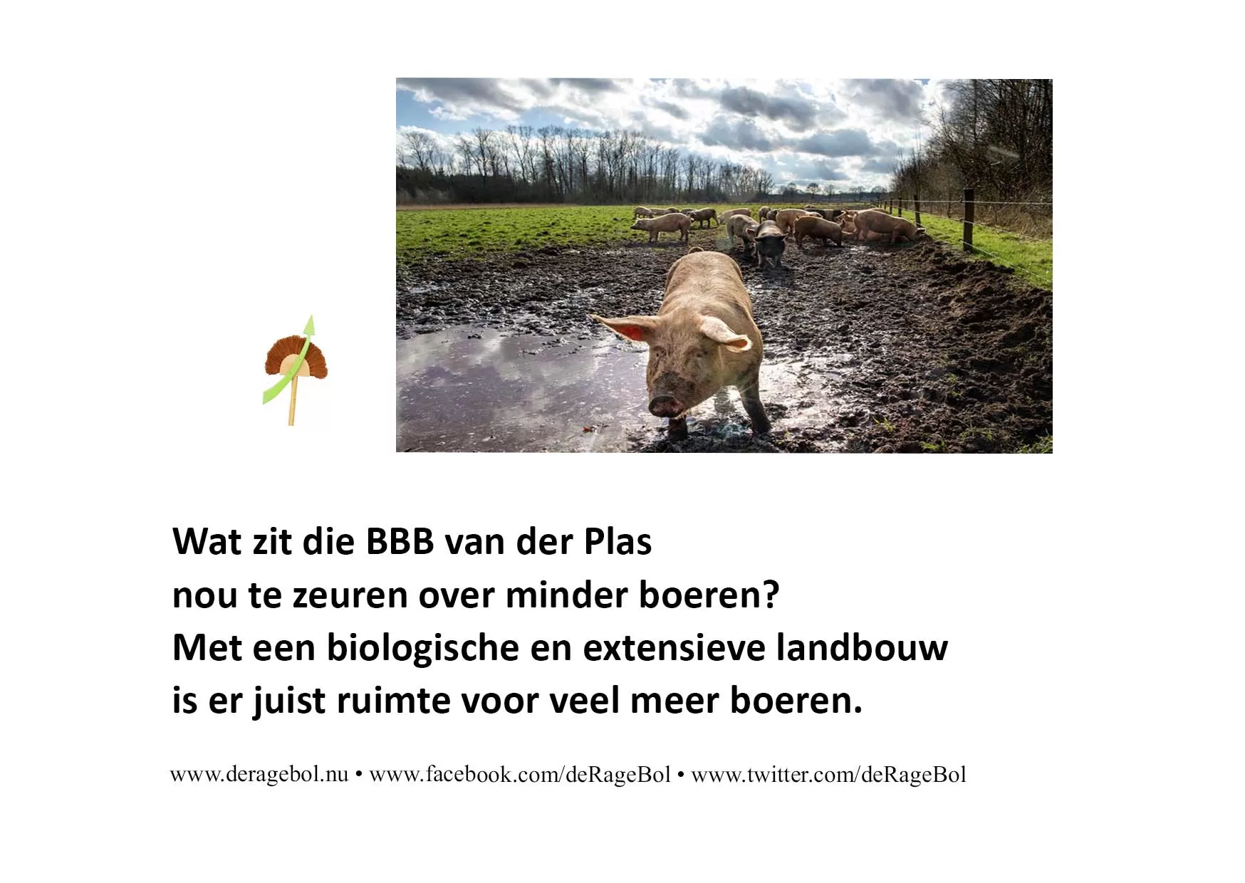 Ragebol Poster  7 november 2022