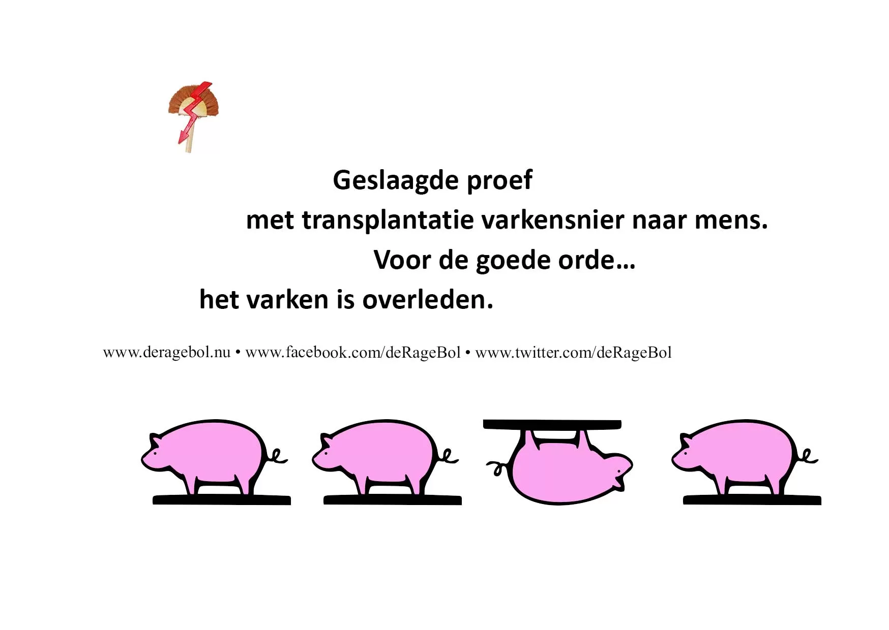 Ragebol Poster 21 oktober 2021