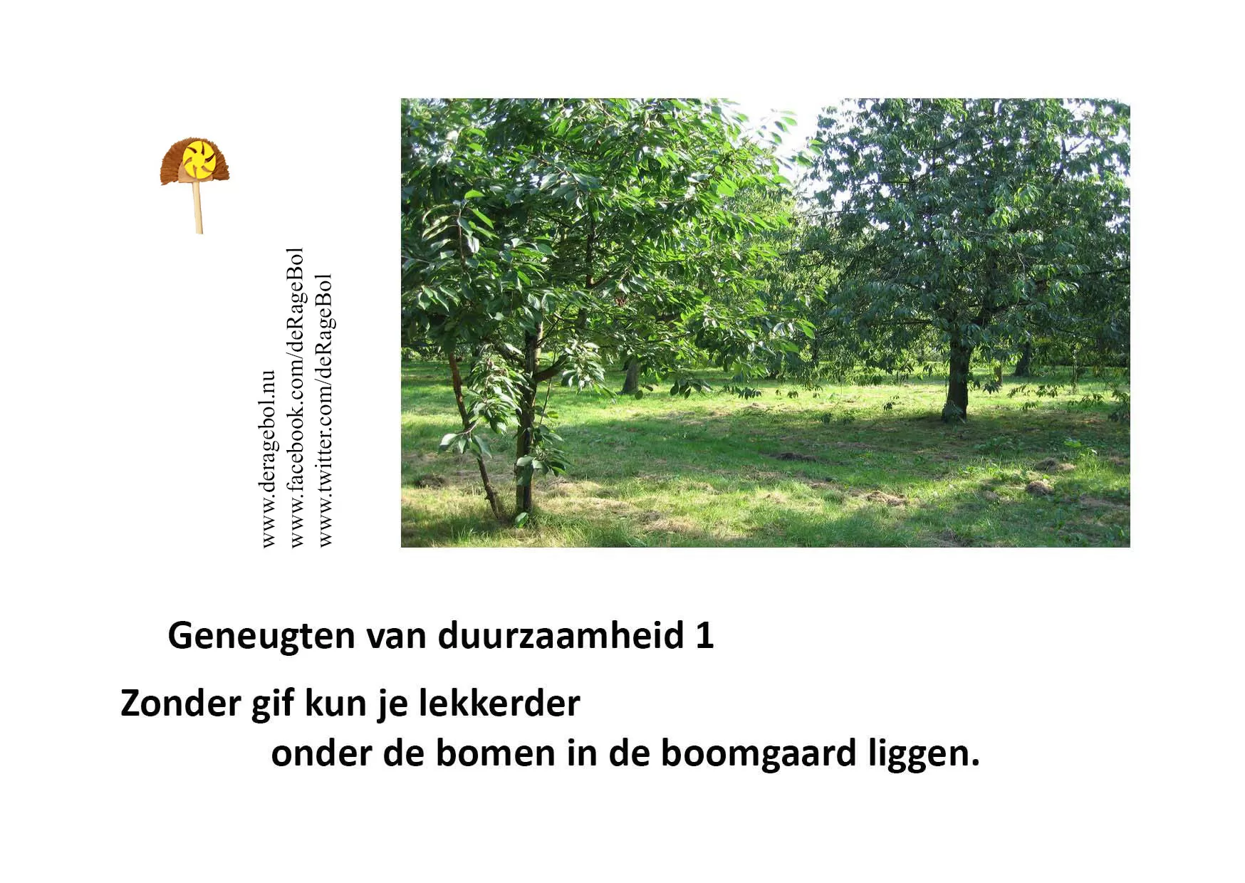 Ragebol Poster 10 mei 2015