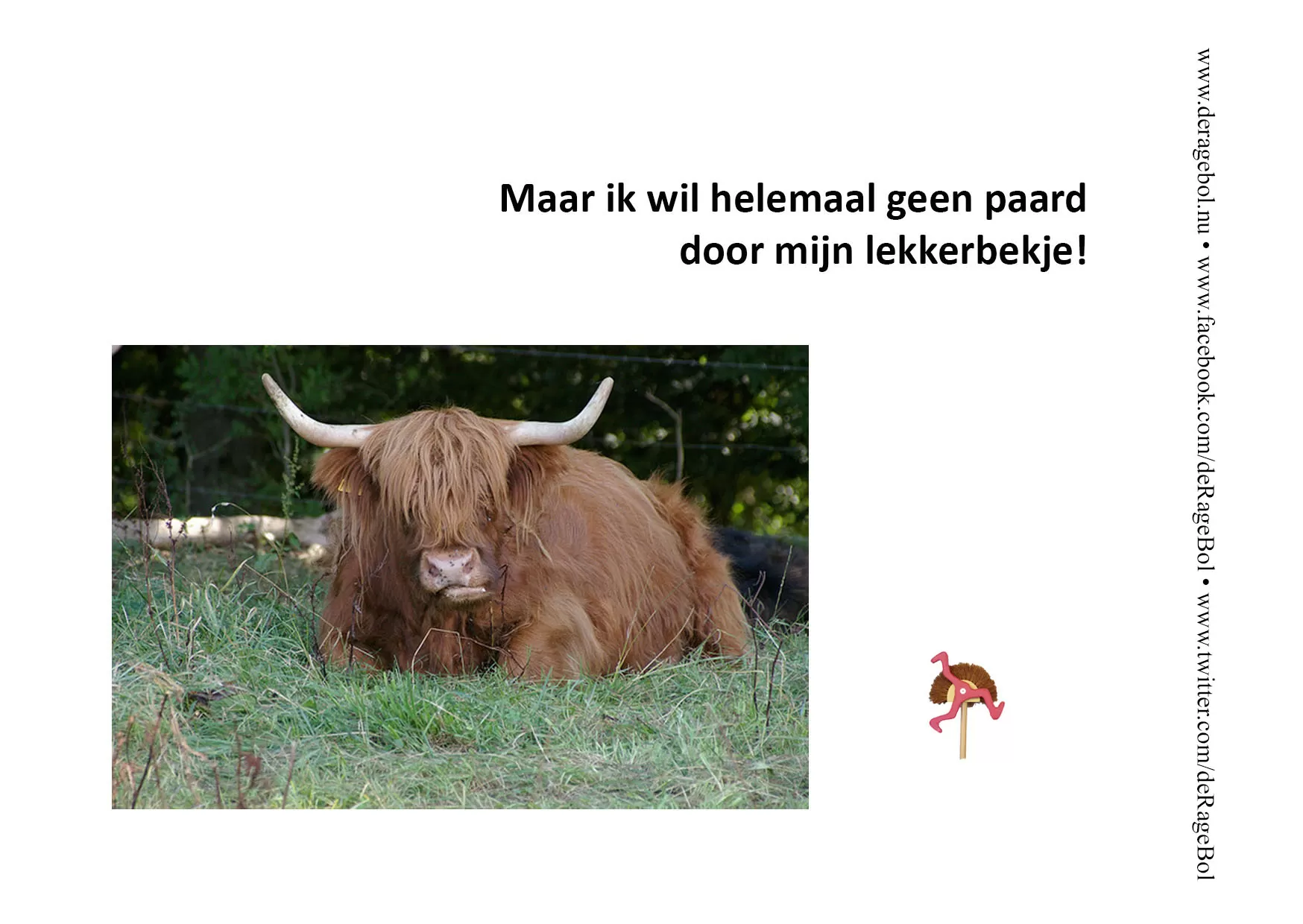 Ragebol Poster 23 januari 2015