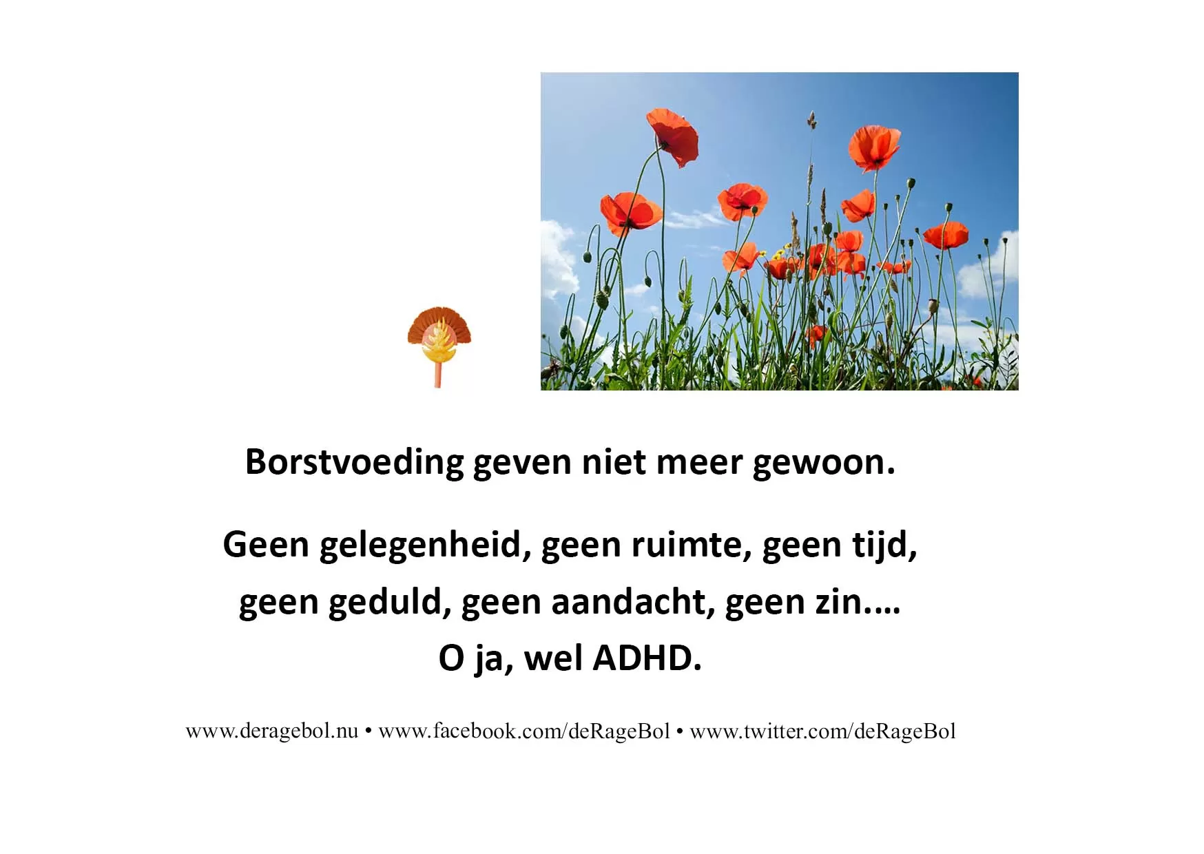 Ragebol Poster 15 mei 2024