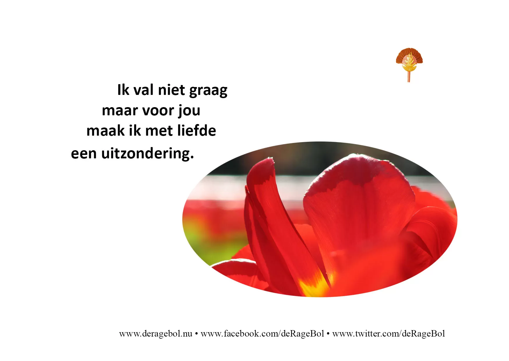 Ragebol Poster 25 november 2014